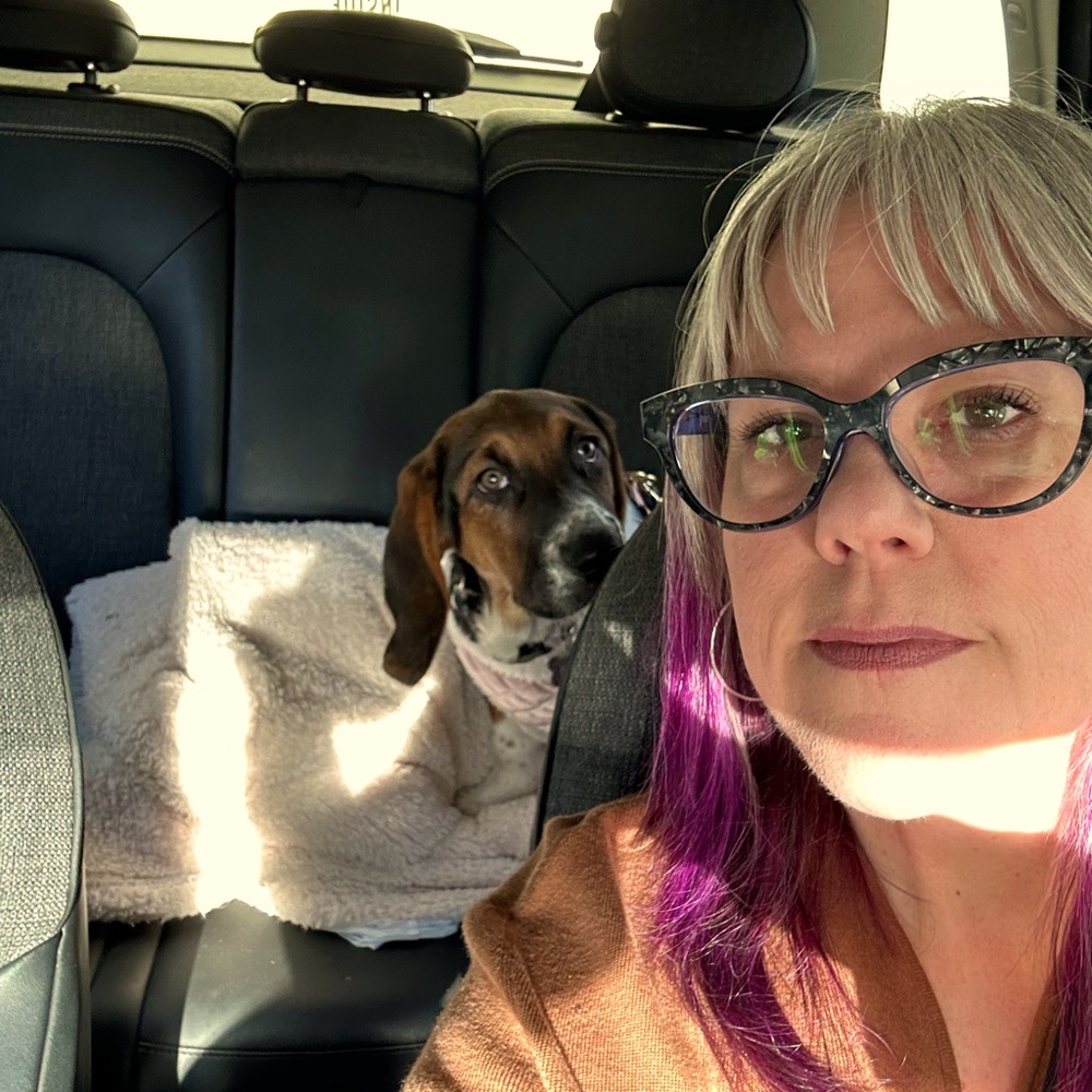 Meet your Posher, Susan